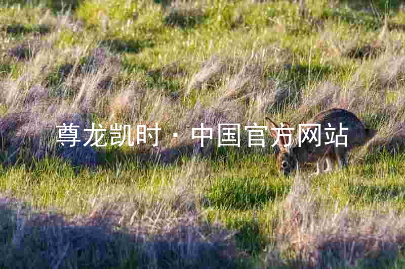 尊龙凯时·中国官方网站