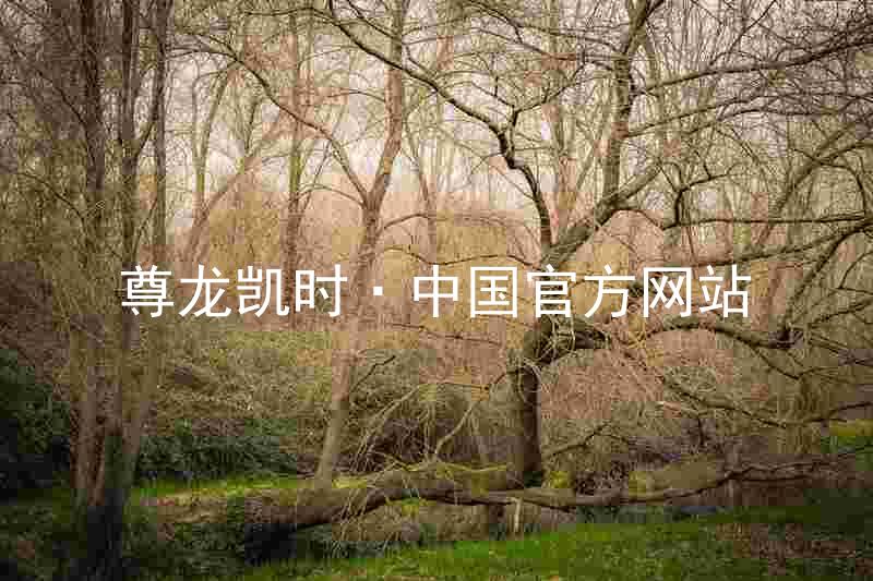 尊龙凯时·中国官方网站