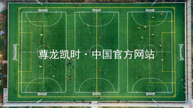 尊龙凯时·中国官方网站