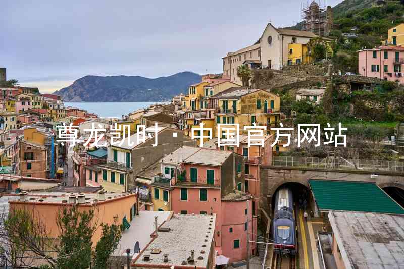 尊龙凯时·中国官方网站