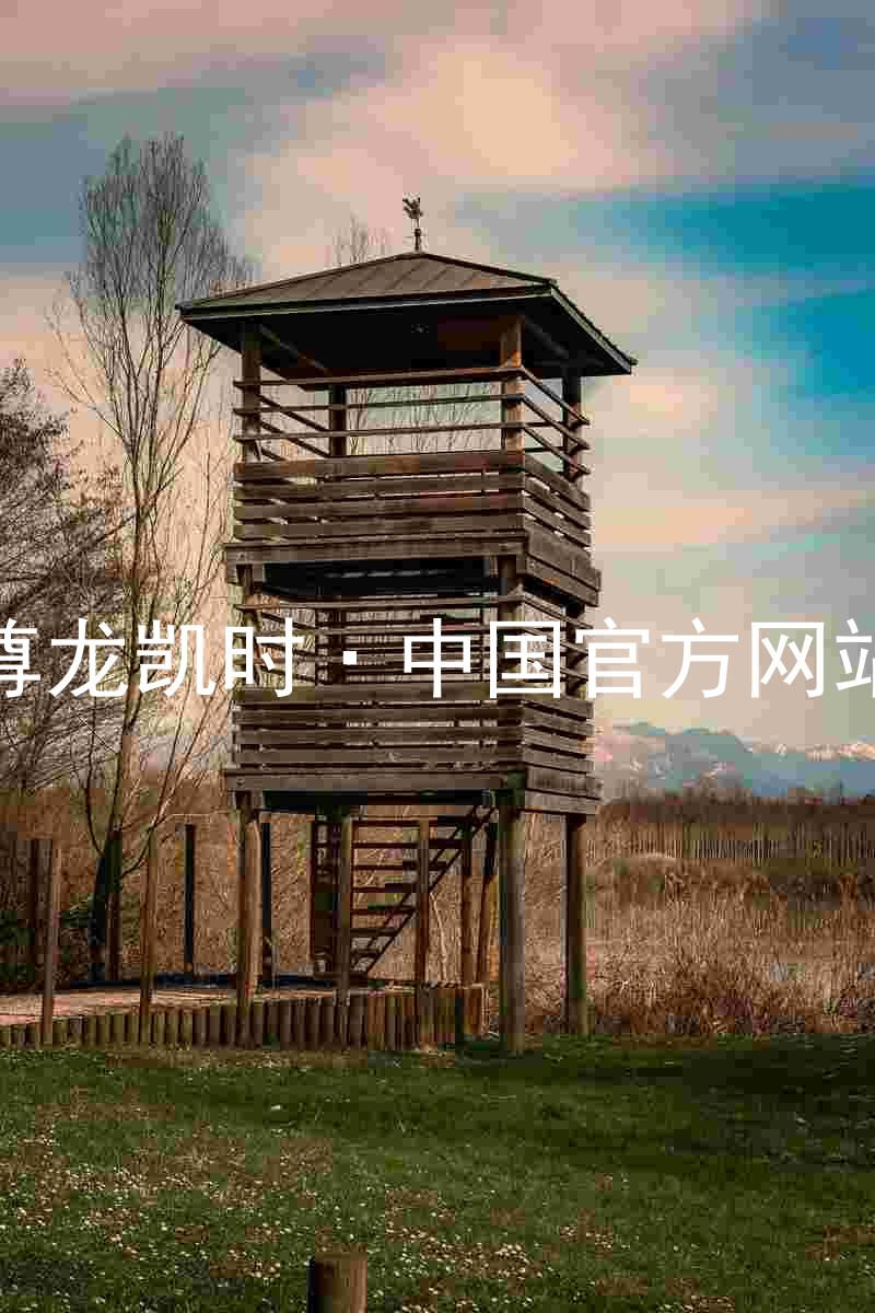 尊龙凯时·中国官方网站
