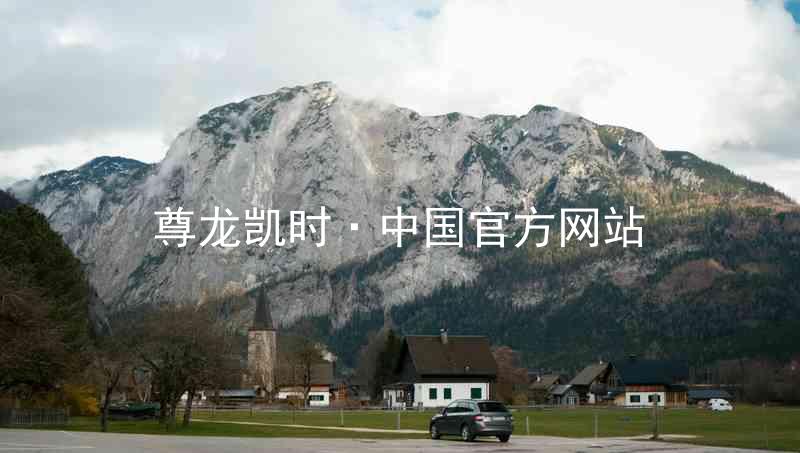 尊龙凯时·中国官方网站